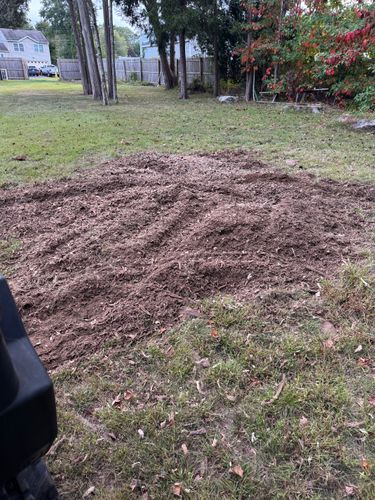 Stump Removal for Jills Stump Grinding and Firewood in Shelton, CT