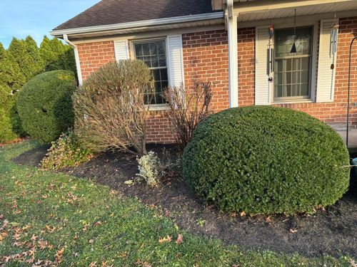 Shrub Trimming for Dunn-Rite Landscaping in New Oxford, PA