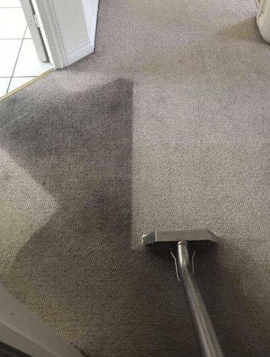 Carpet and Upholstery Cleaning for TW Services in Oppenheim, NY