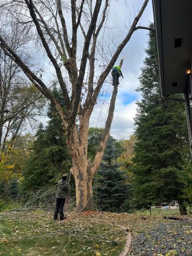 Seasonal Clean Up for Titan Landscaping in Rosemount, MN