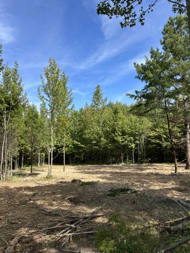  for Z's Land Management & Forestry Mulching in Smithville, TN