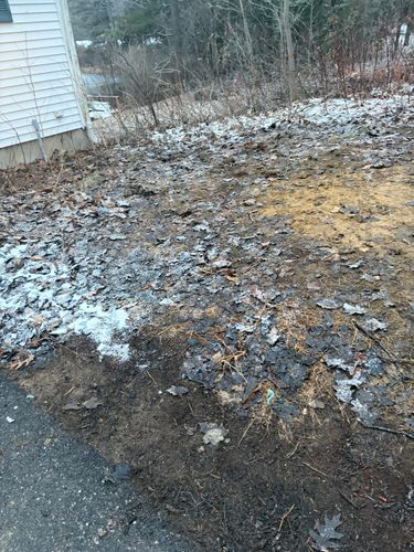 All Photos for Poop Pals NH in Gilford, NH