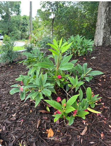 Landscaping for JND Transformation Landscapes & Hardscapes LLC in Cedar Point, NC