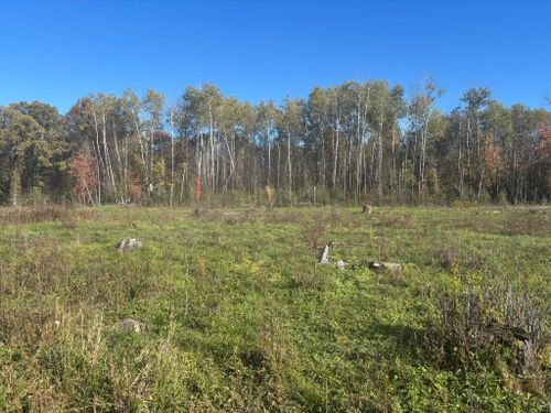  for Premier Services in New London, MN