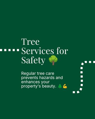 Tree Services for Ludlows Services in Clermont, FL