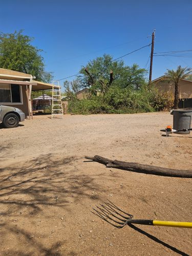 Tree Removal for T's Tree Service and Firewood in Apache Junction, AZ