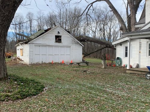 Tree Removal for Benjamin & Sons in Elmira, NY