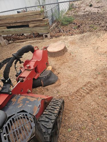 Stump Removal for T's Tree Service and Firewood in Apache Junction, AZ