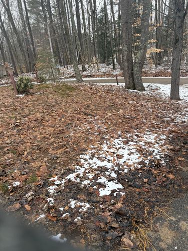 All Photos for Poop Pals NH in Gilford, NH