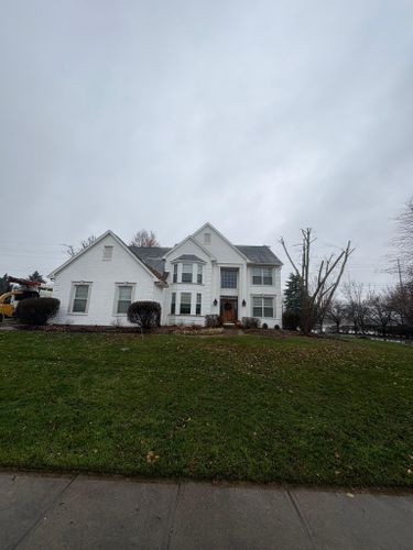  for Dig-It Tree Company in Mason, OH