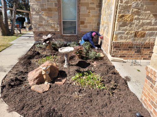 Flower Bed and Shrub Maintenance for Ornelas Lawn Service in Lone Oak, Texas