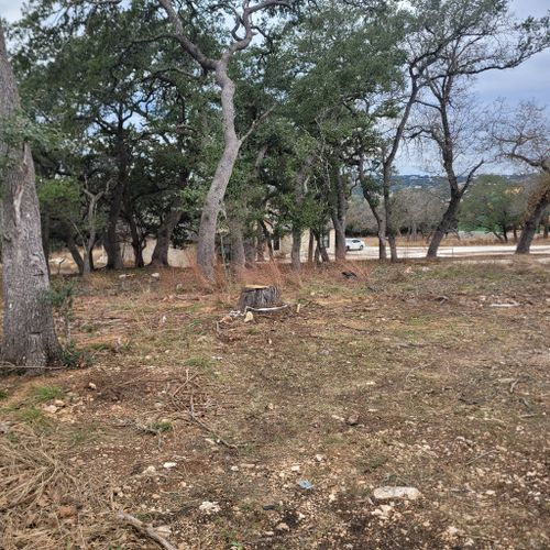 Tree Trimming/Removal for Hunter Group Contracting in San Antonio, TX