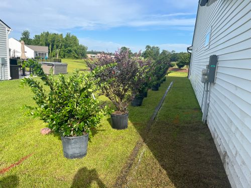 All Photos for New Creation Landscaping in Myrtle Beach, SC