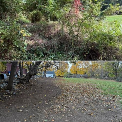 Shrub Trimming for LJ Lawn & Property Maintenance, Inc. in Cold Spring, New York