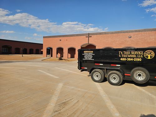 Tree Removal for T's Tree Service and Firewood in Apache Junction, AZ