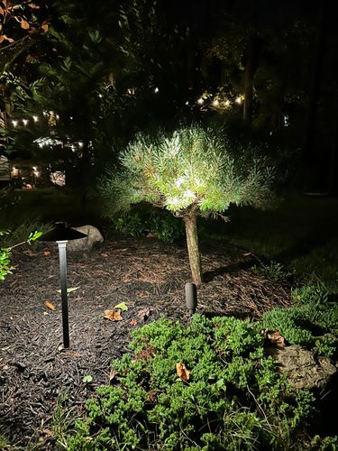 All Photos for Unique Outdoor Lighting in Short Hills, NJ