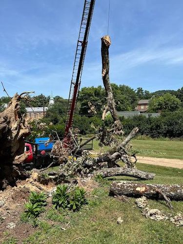  for Brocks Tree Service LLC in Rogersville, TN