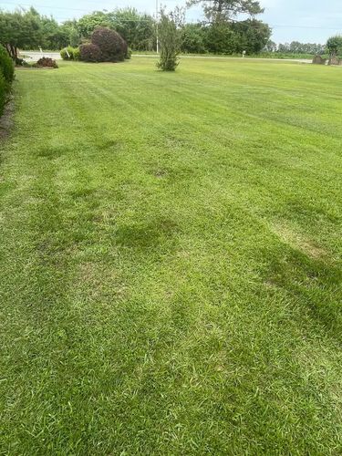 Lawn Maintenance for Trinity Landscapes  in Lumberton, NC