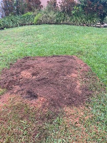  for KB’s Stump Removal in Pinellas county, FL