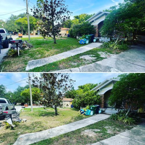  for Wicked Weeds Propertycare in Tampa, Florida