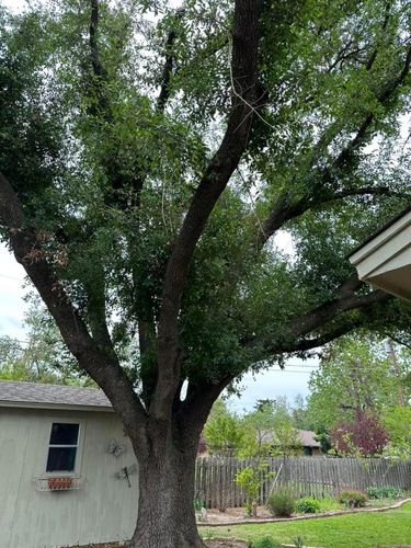 Mowing for Allen Lawn Care in Taylor, Texas