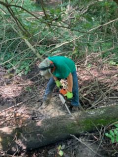 Tree Removal for Mr Greens Landscaping in Chesterfield, VA