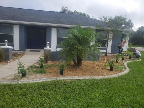 All Photos for Gratsch Landscaping and Tree Trimming llc in Spring Hill, Florida