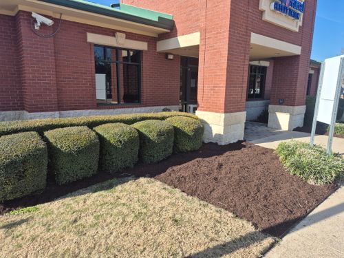 Landscaping for Texas Lawn & Sprinkler Co. in Houston, TX