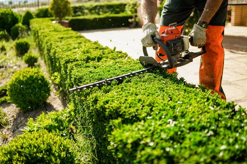 All Photos for A&D Lawn Care of Lakeland in Lakeland, FL