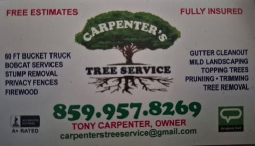 All Photos for Carpenter's Tree Service in Aurora, IN