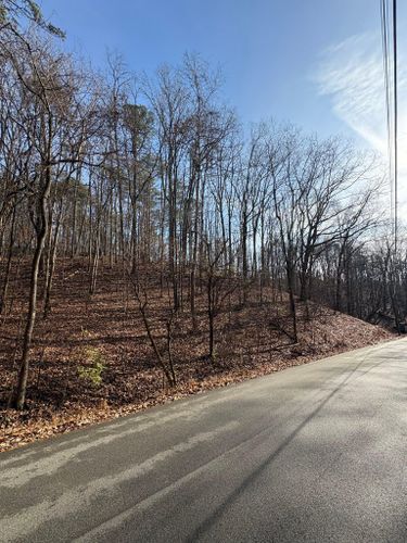  for Phillips Construction and Excavating in Seymour, TN