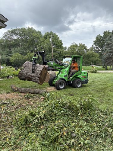 Tree Removal for Olson Tree Service, Inc in Rockford, IL