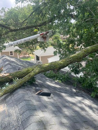 Ice Dam and Roof Top Snow Removal for Allstate Tree Service in Fridley, MN