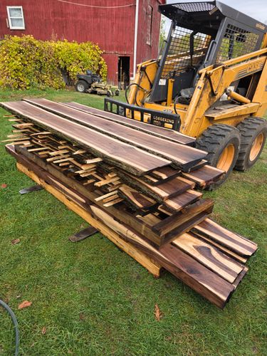  for D Hale Tree Service in Ann Arbor, MI