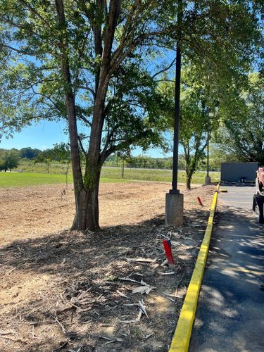 Forestry Mulching for Big Munchie Landworx in Jackson, MS