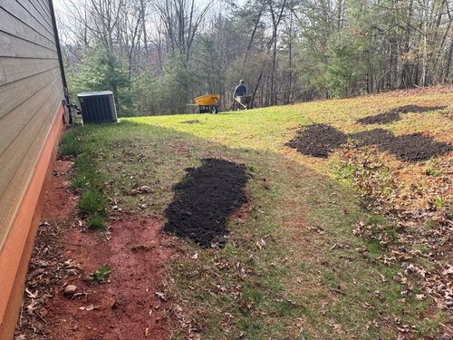 Turf repair for HG Landscape Plus in Asheville, NC