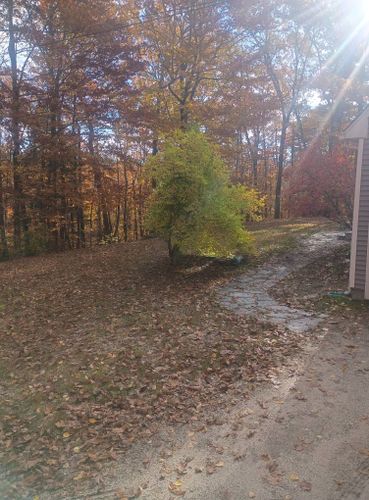 for Moon's Property Maintenance in Gray, ME