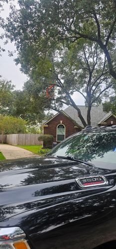  for Servin's Tree Care  in Houston, TX