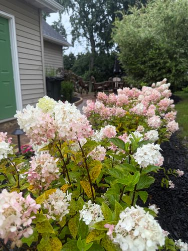 Softscaping for Hillside Landscape & Design in Chesterland, OH