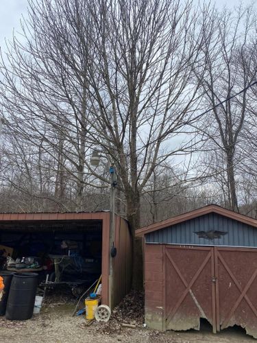 Fall and Spring Clean Up for Atwood’s Tree Care in Liberty,  KY