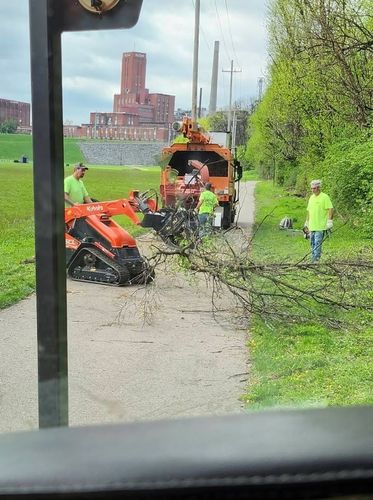 All Photos for Carpenter's Tree Service in Aurora, IN
