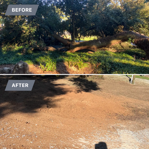  for Southern Venom Services in Daphne, AL