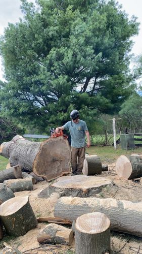 All Photos for Gray's Tree Service  in Shenandoah County, VA