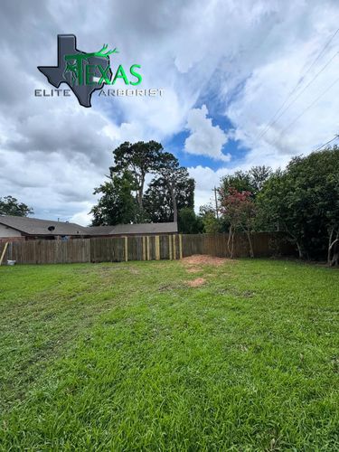  for Texas Elite Arborist in Houston, TX