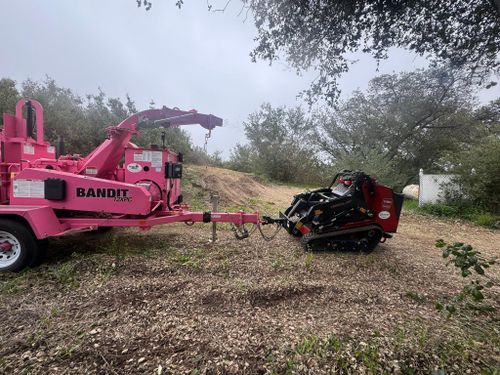Property Clean Up for The Tree Fairy in Julian, CA