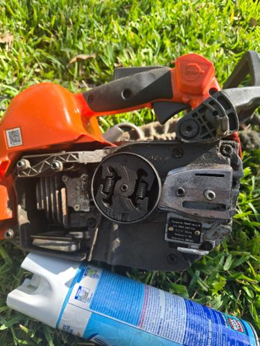 Tree Removal for TREE BOYS in Ruskin, FL