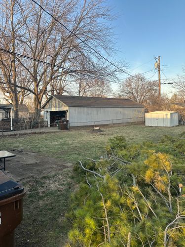 All Photos for Pro Tree Trim & Removal, Llc in Dayton, OH