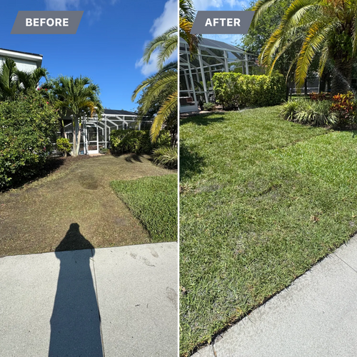 Sod installation for BH Lawn and Landscape in Fort Myers, FL