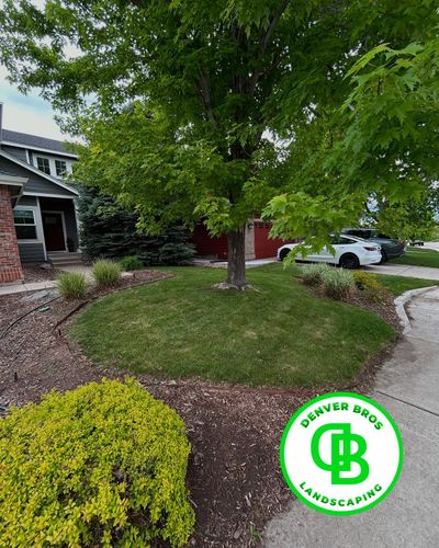 Shrub, Bush & Tree Trimming for Denver Bros Lawn Control in Denver, CO
