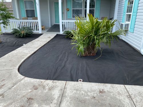 All Photos for New Creation Landscaping in Myrtle Beach, SC